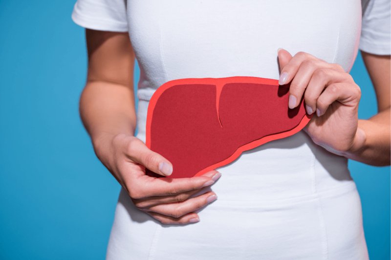Identifican proteína que reduce hígado graso en obesidad