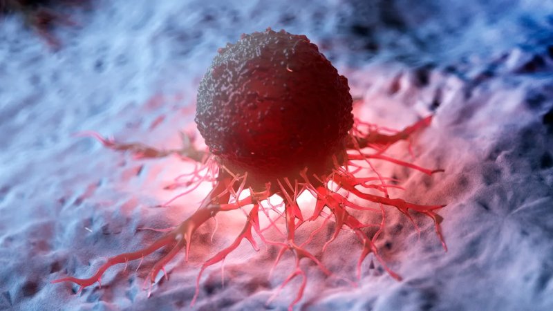 Investigadores usan tecnología ARNm para reprogramar células inmunitarias que favorecen el