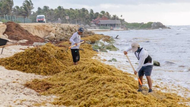 México, RD, Cuba y Francia se alían para combatir el sargazo