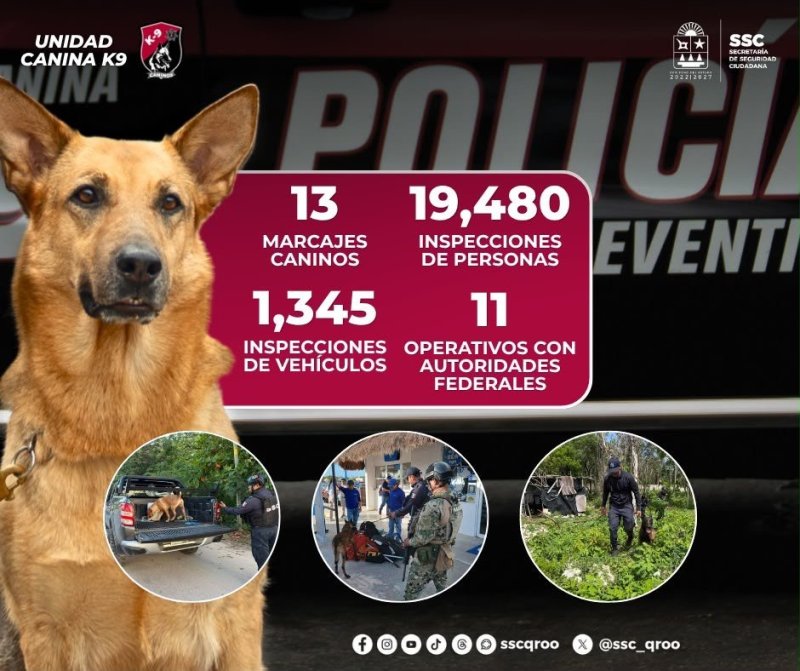 Información de la fuente