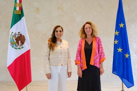 Quintana Roo busca cooperación internacional para combatir el sargazo